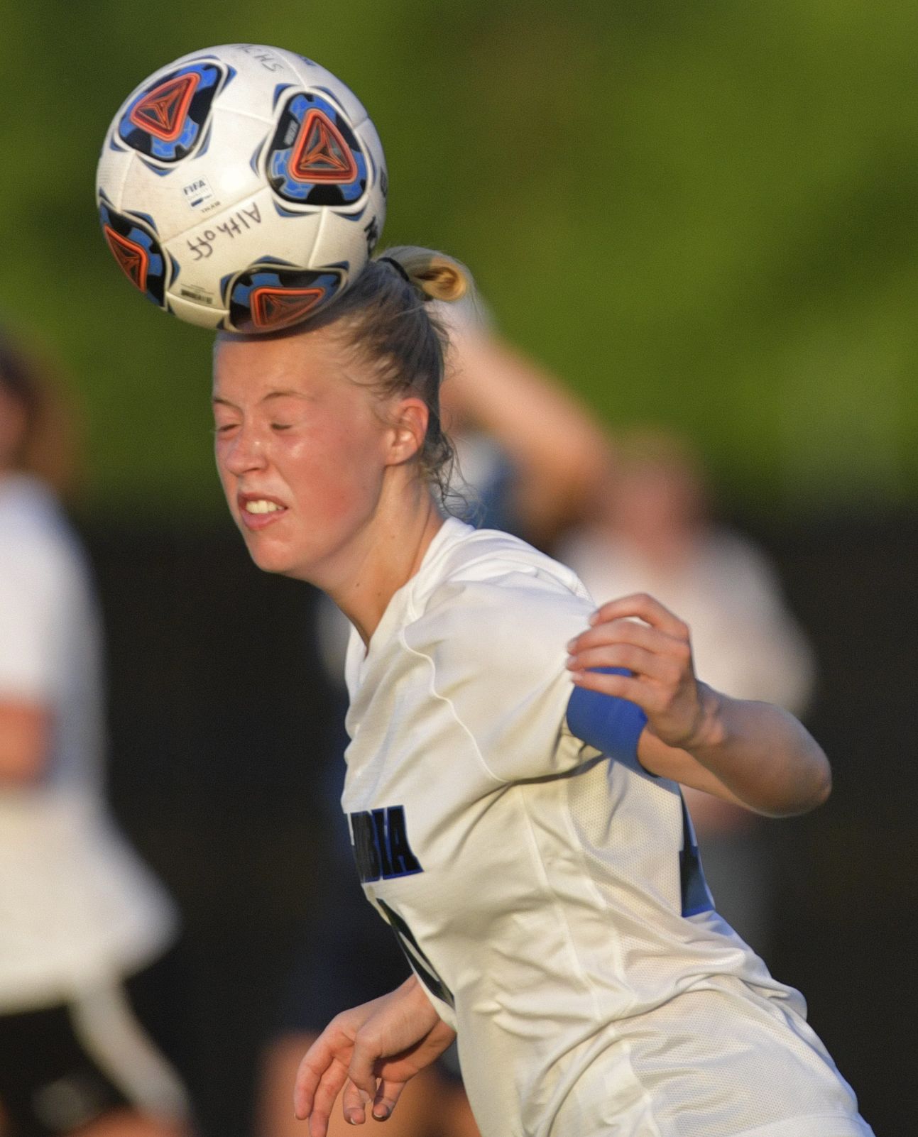 Class 1A Girls Sectional Soccer Championship